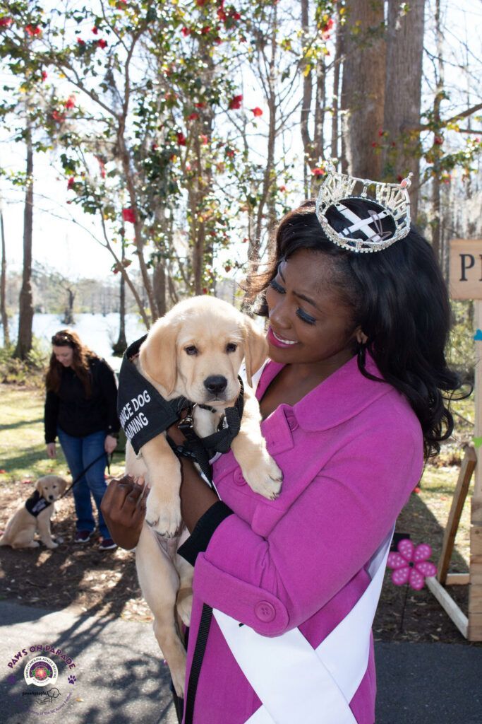 Mission Strategic Plan NC Azalea Festival mission-strategic-plan-nc-azalea-festival