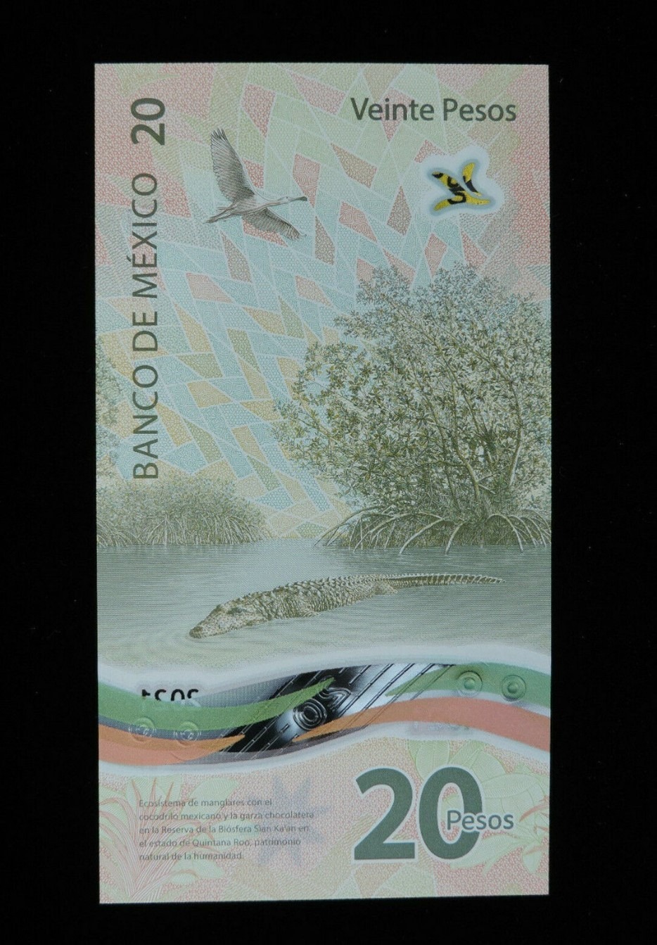 international-blooms-nc-azalea-festival